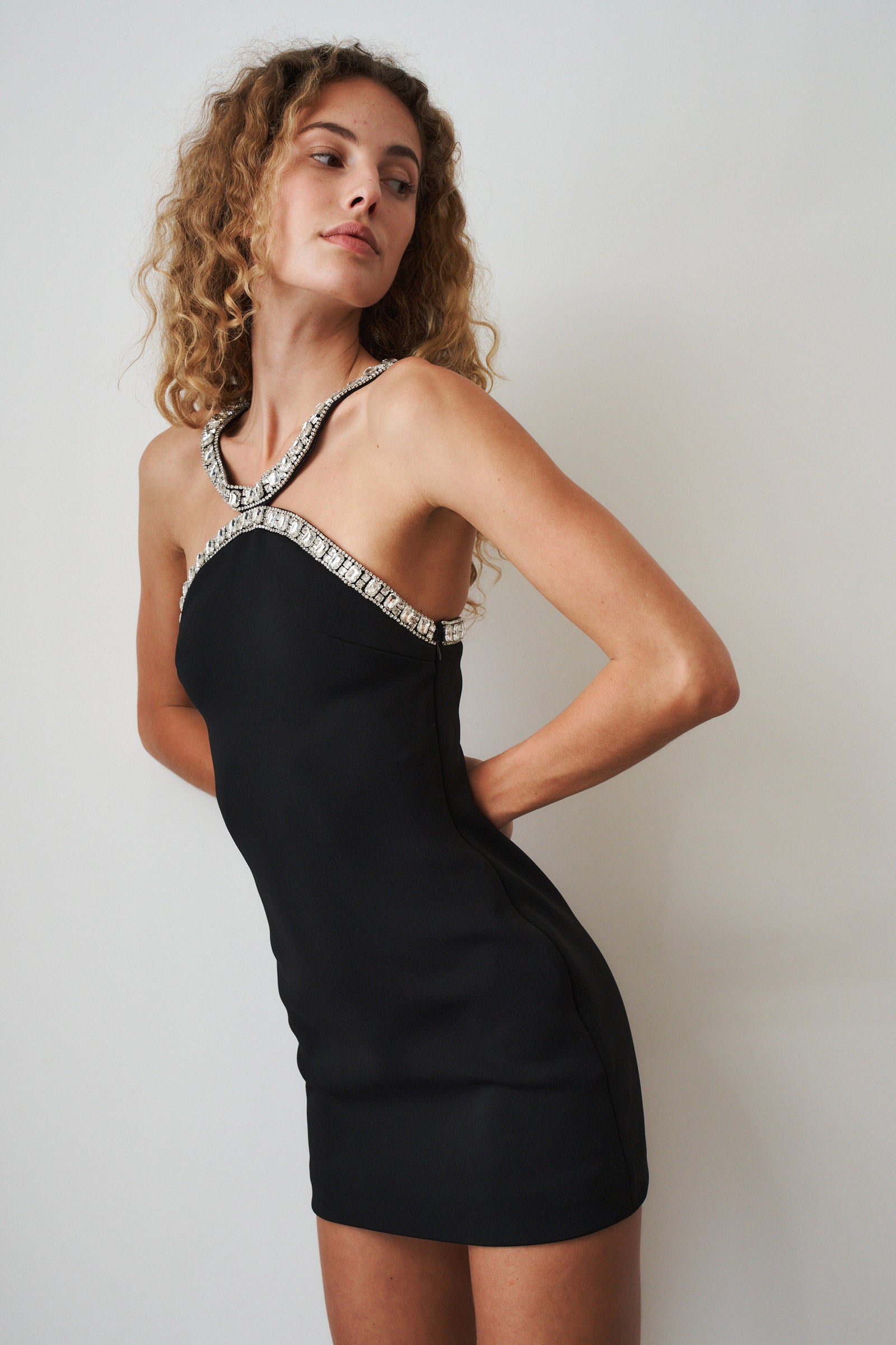 Ailsa Embellished Dress