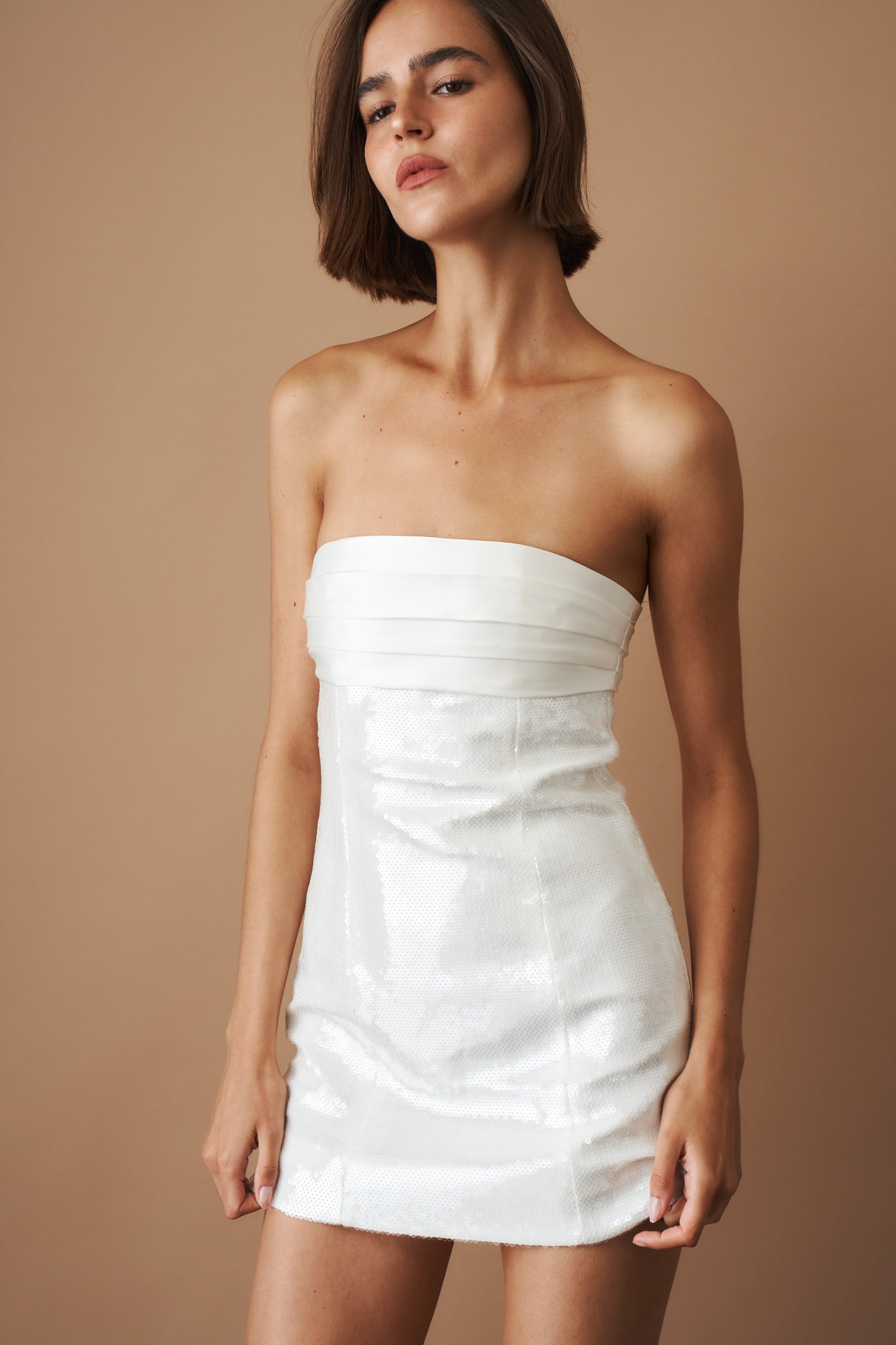 Theolonia Sequin Dress