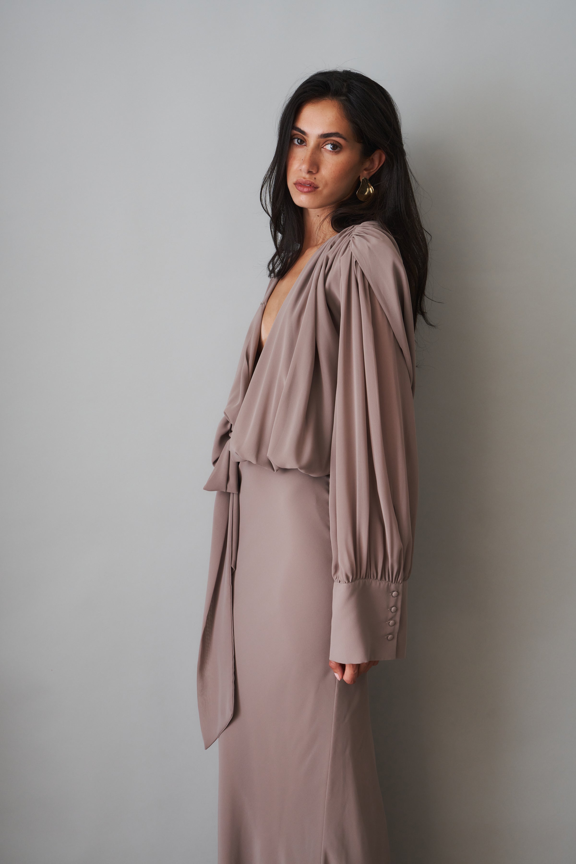 Chiffon Long Sleeve Maxi Dress