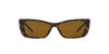 Cat Eye GG Havana Sunglasses