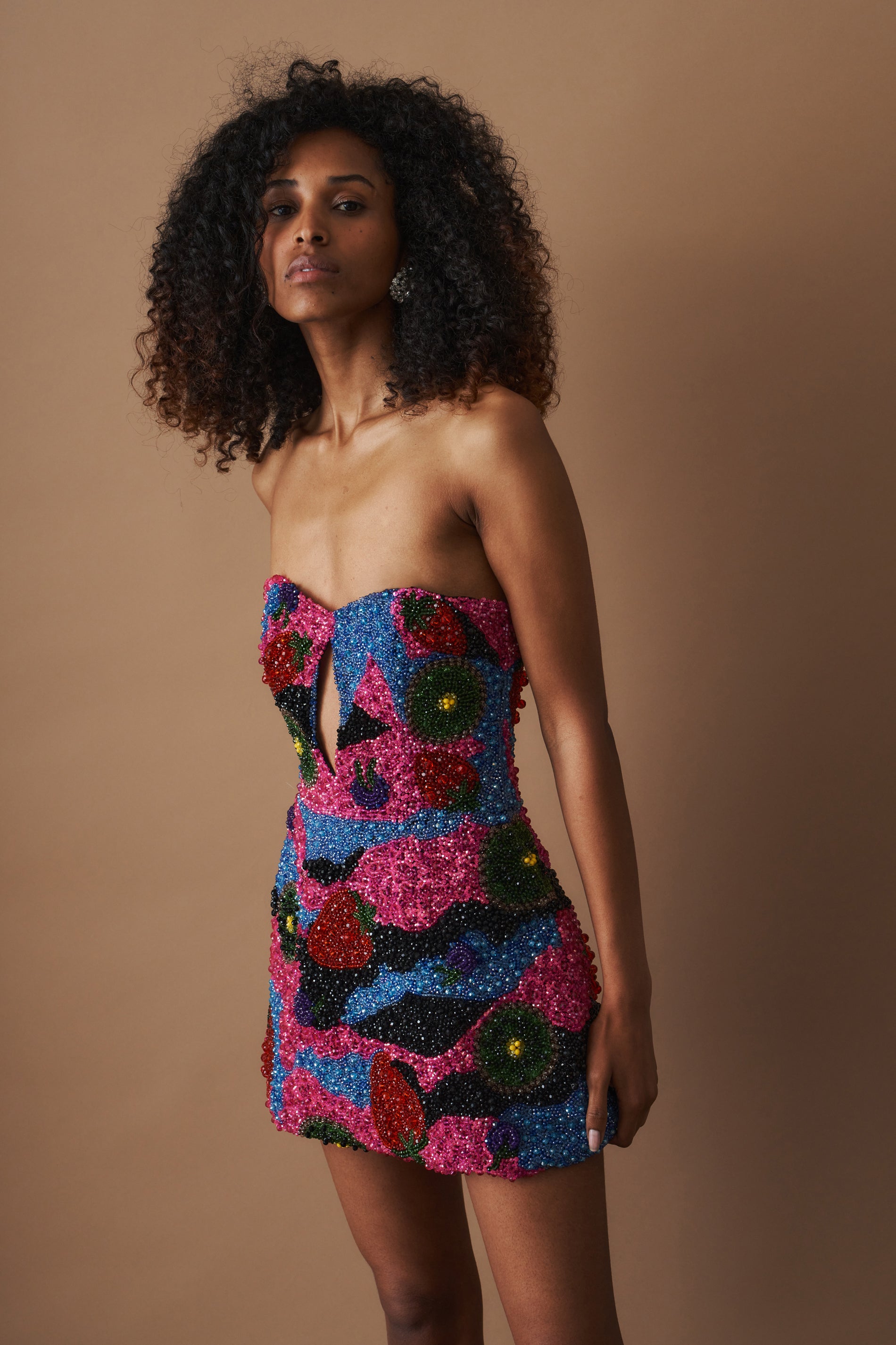Fruit Mirage Dress
