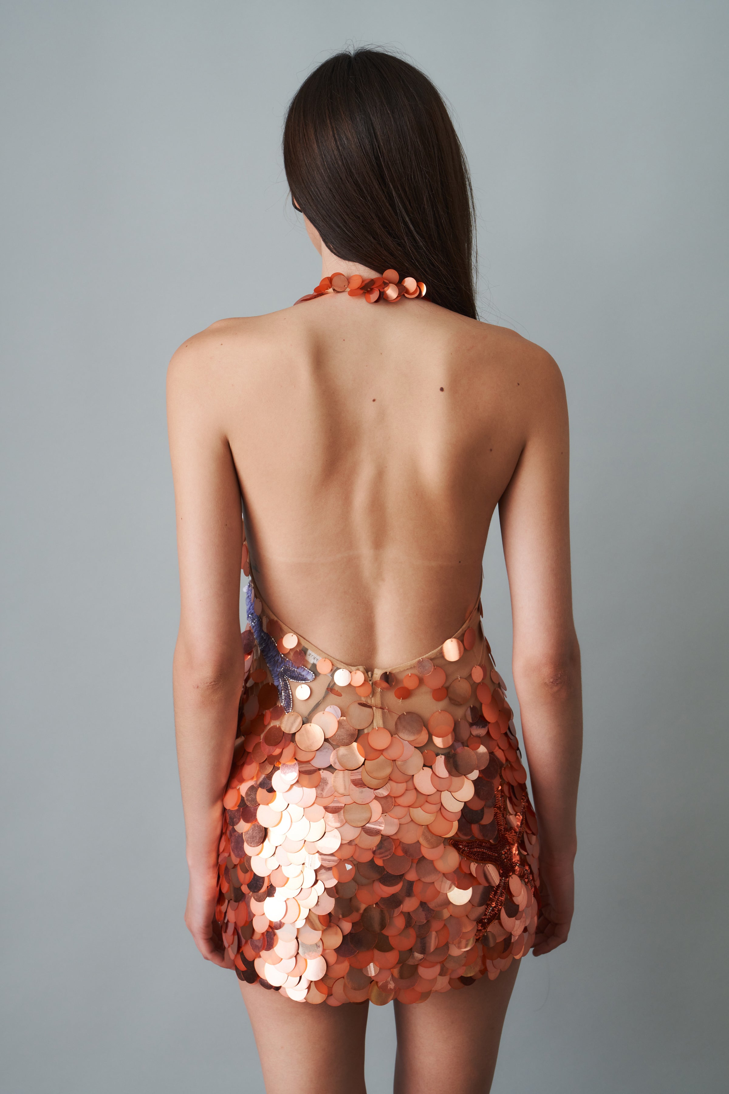 Dorothy Embroidered Dress