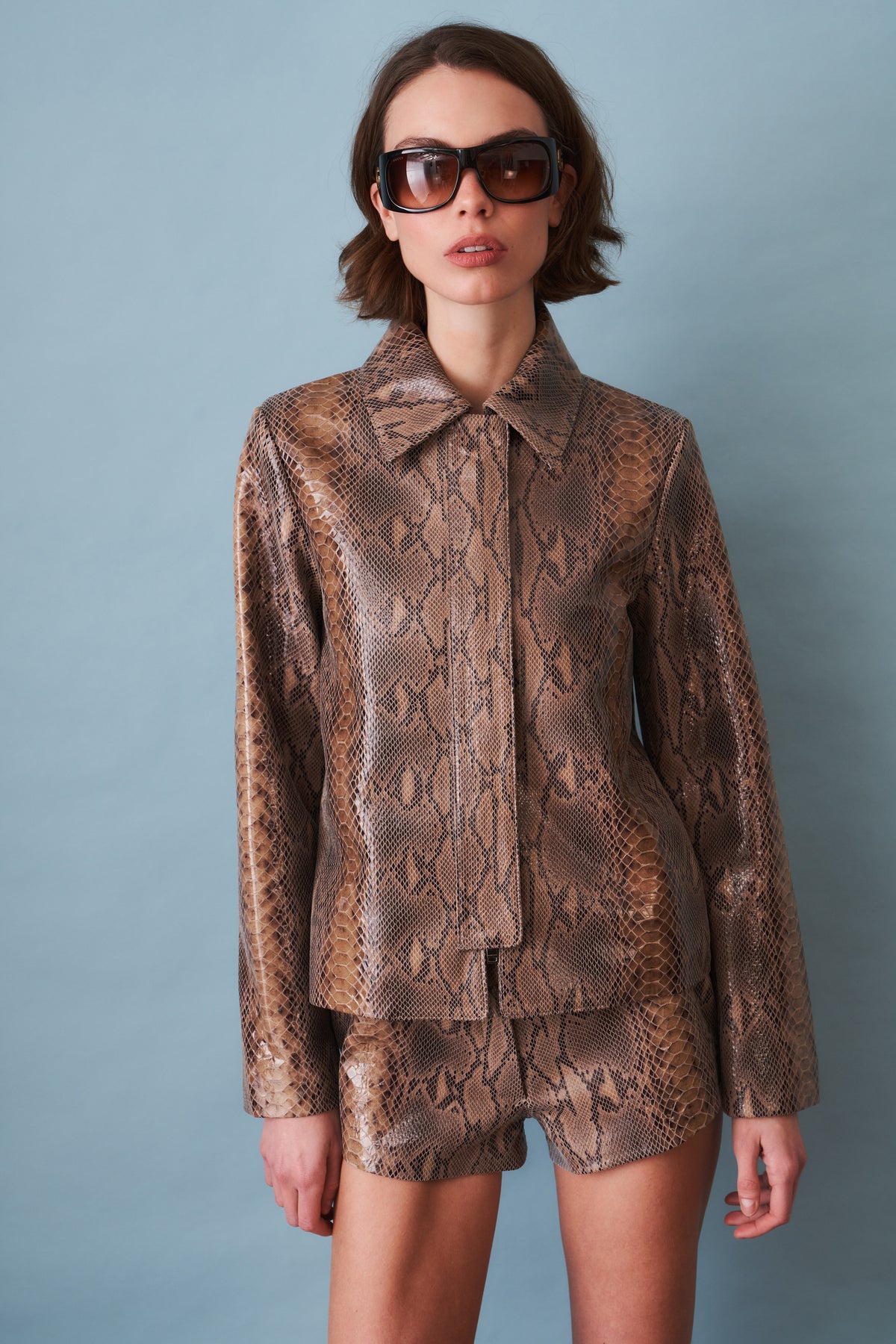 Blouson Leather Jacket