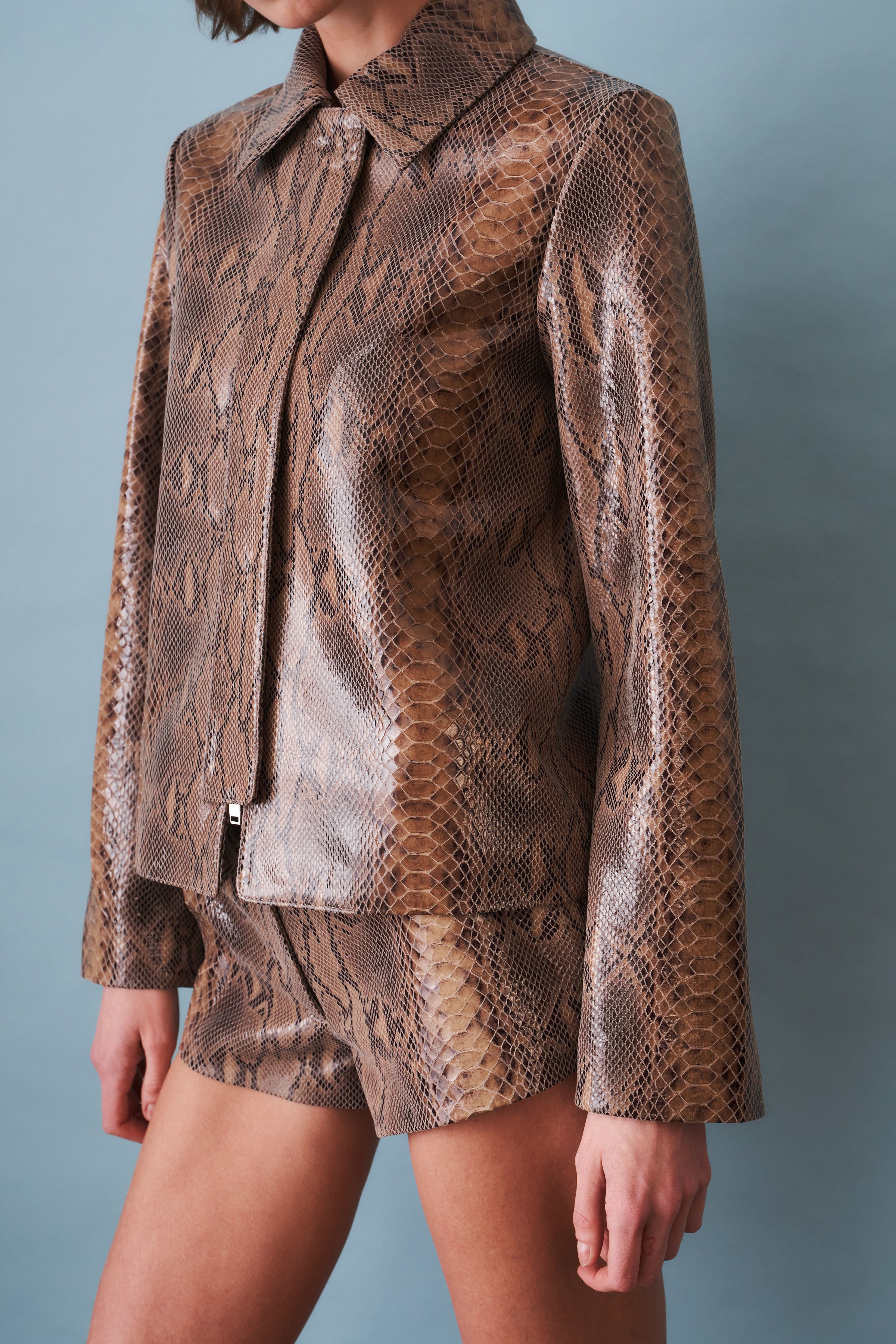 Blouson Leather Jacket