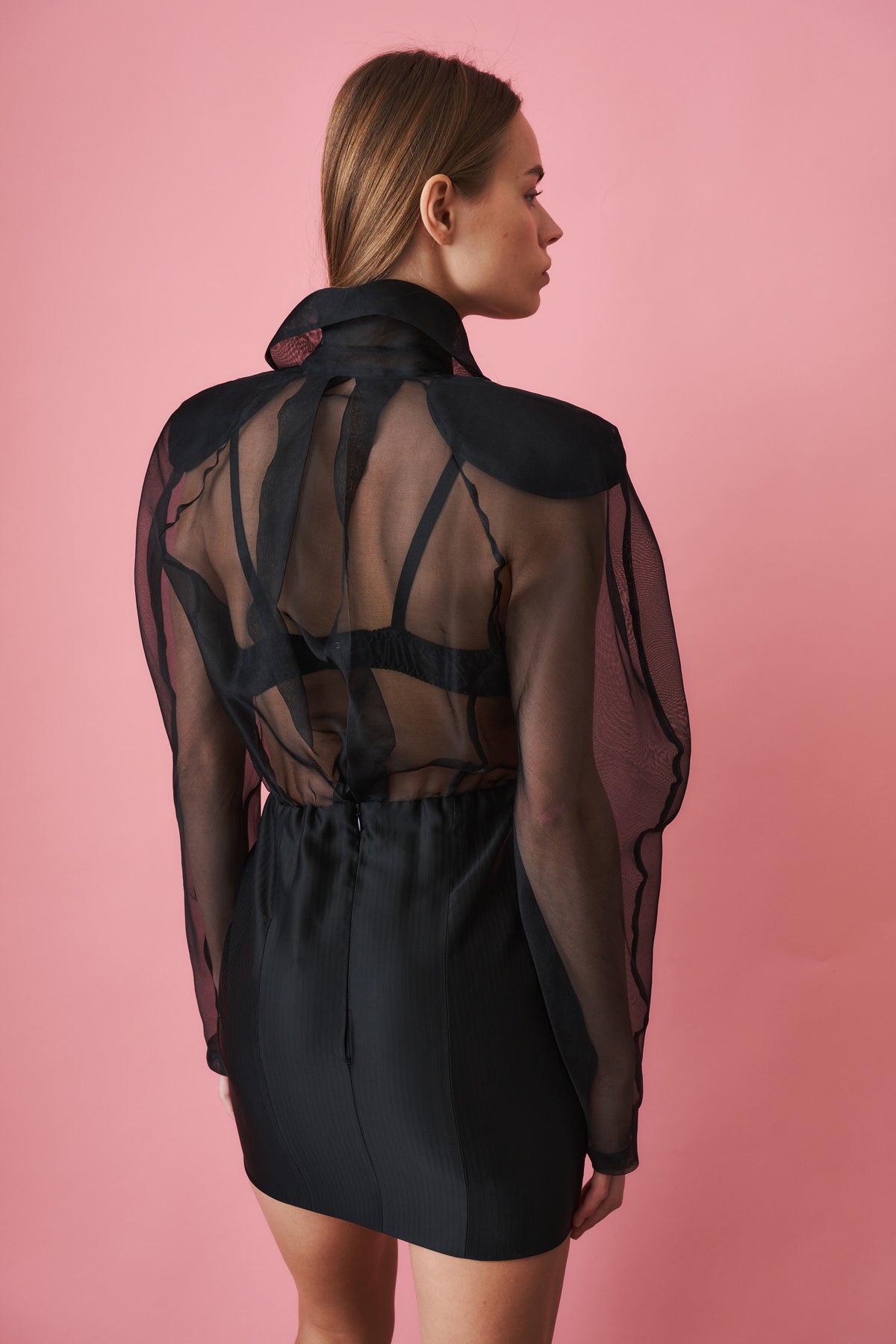 Organdin Transparent Mini Dress Black