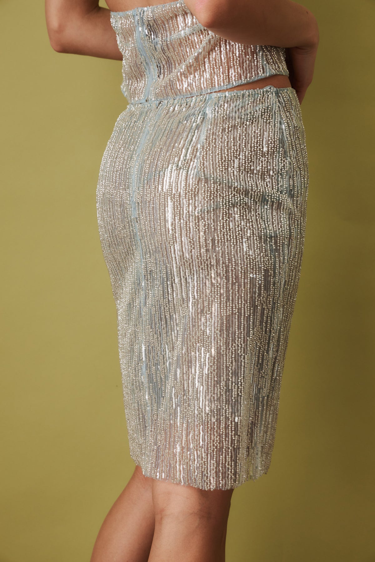 Ani Skirt in Wet