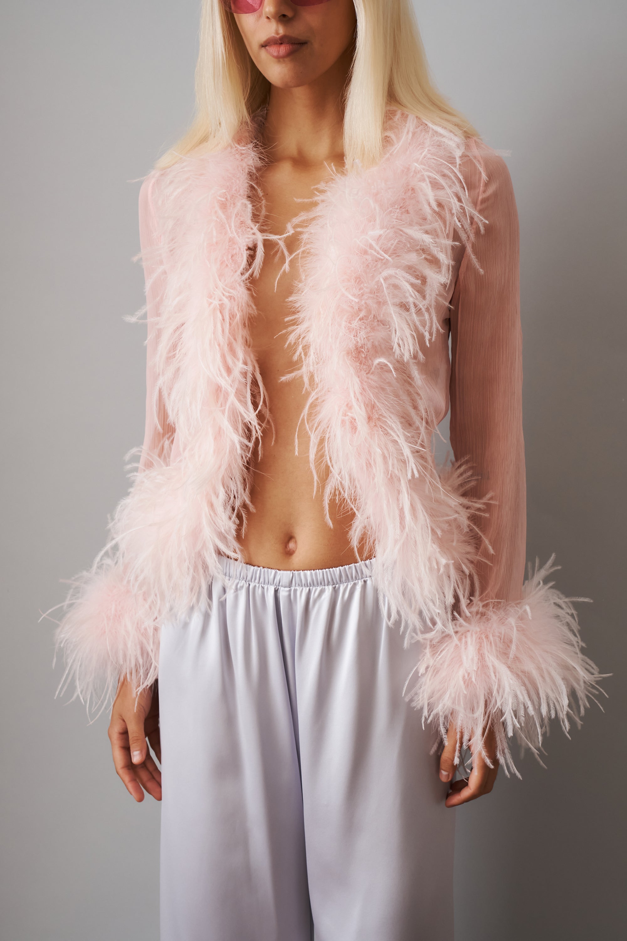 Gigi Sheer Feather Pink Blouse - DÉSORDRE