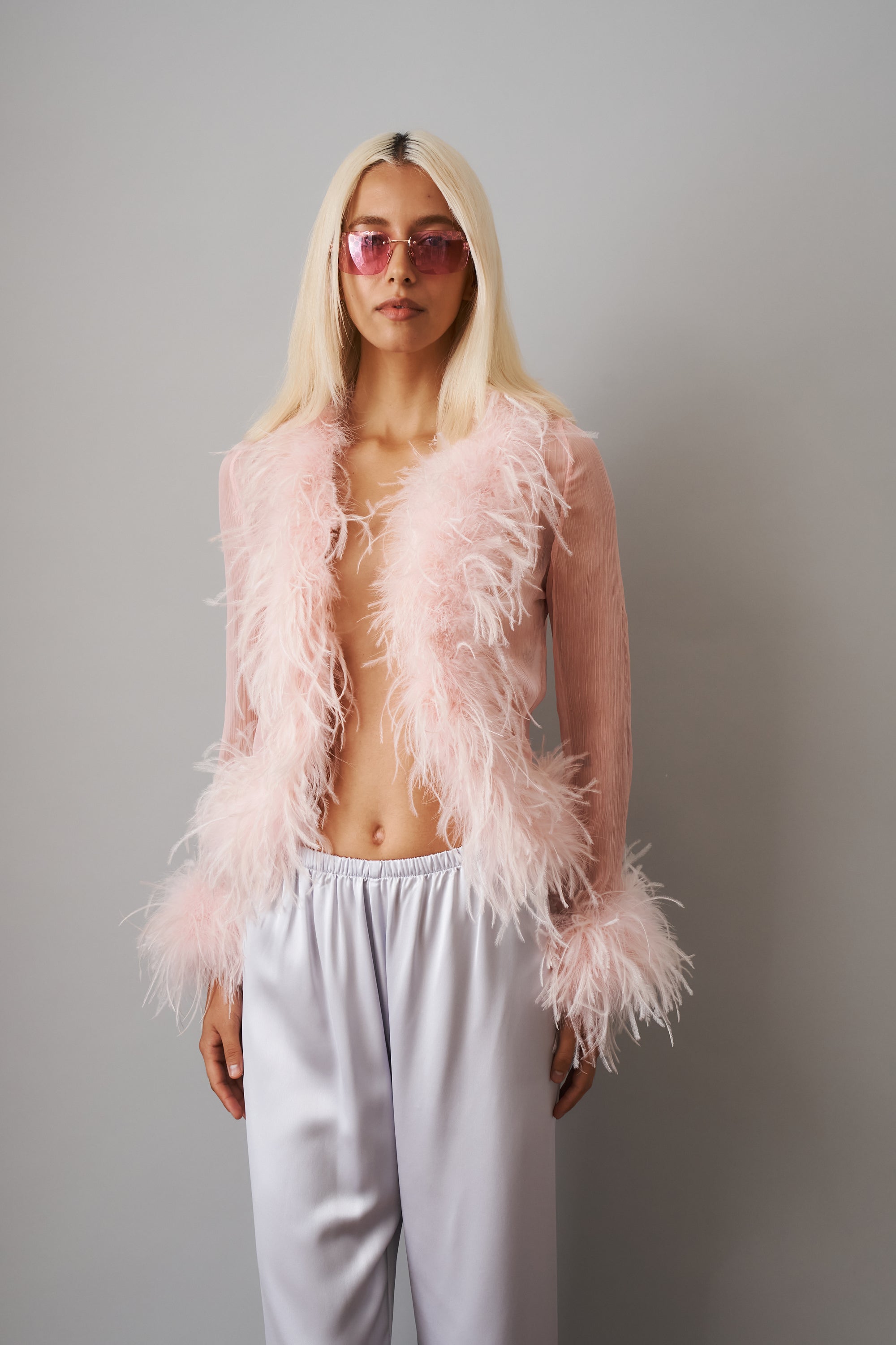 Gigi Sheer Feather Pink Blouse - DÉSORDRE