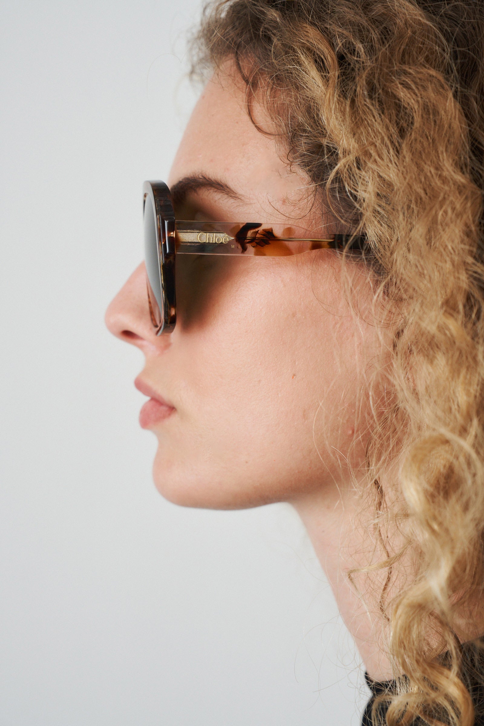 Pilot Havana Sunglasses - DÉSORDRE