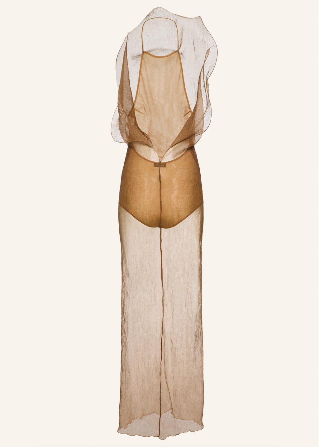 Sheer Silk Overlay Beige Dress